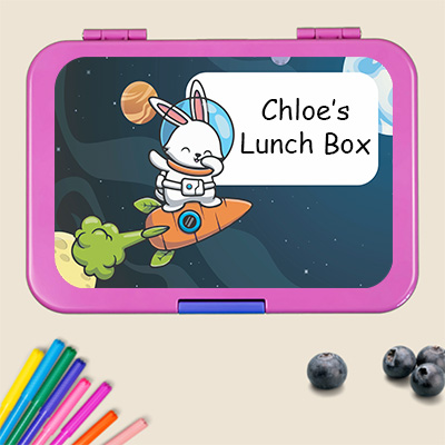 Bento Lunch Boxes 